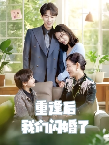 短剧重逢后我们闪婚了海报