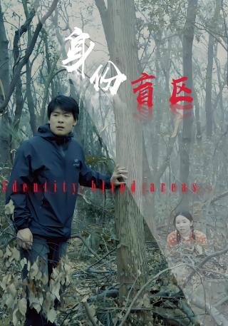 短剧身份盲区海报