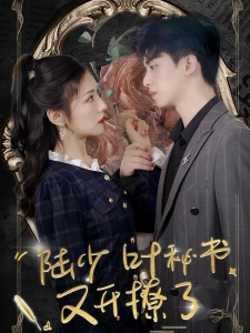 短剧陆少叶秘书又开撩了海报