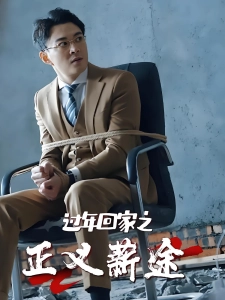 短剧过年回家之正义薪途海报