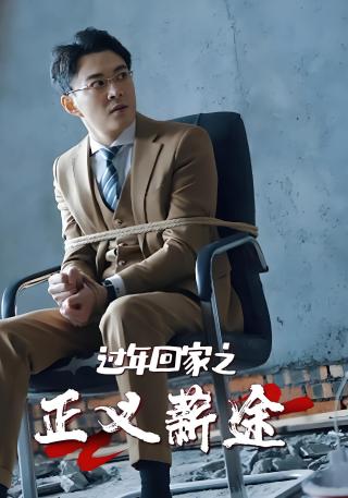 短剧过年回家之正义薪途海报