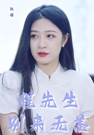 短剧程先生别来无恙海报