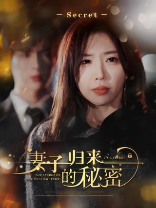 短剧妻子归来的秘密海报