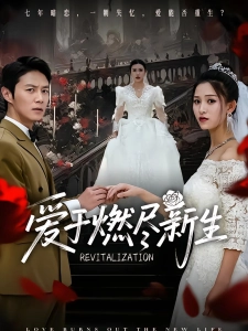 短剧爱于燃尽新生海报