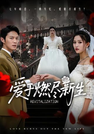 短剧爱于燃尽新生海报