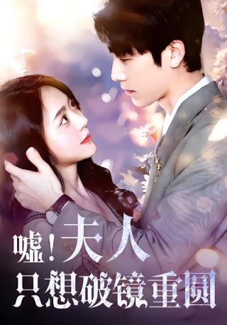 短剧嘘！夫人只想破镜重圆海报