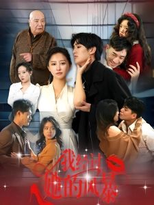 短剧我经过她的风暴海报