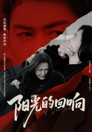 短剧阳光的回响海报