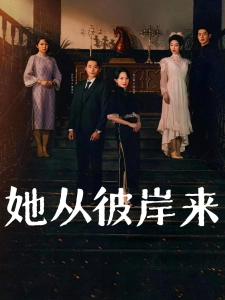 短剧她从彼岸来海报