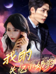 短剧我的失忆小奶狗海报