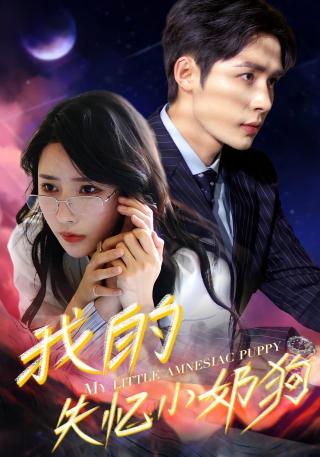 短剧我的失忆小奶狗海报