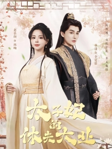 短剧太子妃的休夫大业海报