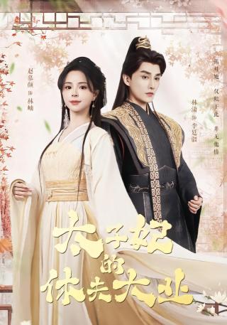 短剧太子妃的休夫大业海报