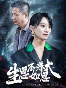 短剧生恩不如养恩大海报