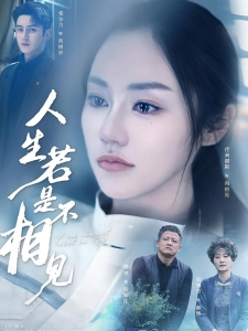 短剧人生若是不相见海报