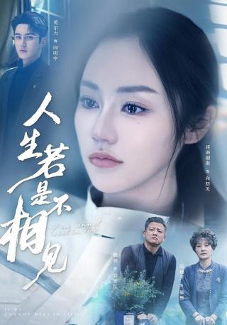 短剧人生若是不相见海报