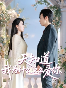 短剧天知道我为什么这么爱你海报