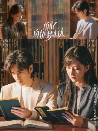 短剧甬忆南侨梦归人海报