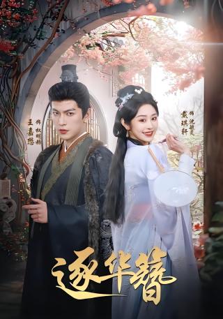 短剧逐华簪海报