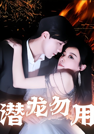 短剧潜龙勿用海报