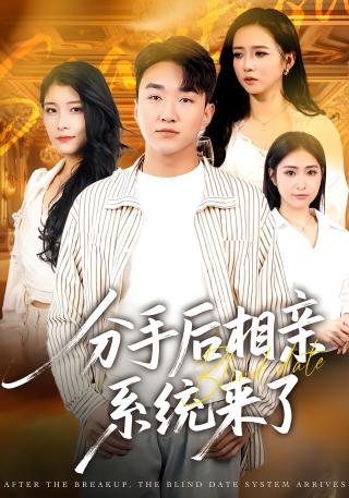 短剧分手后相亲系统来了海报