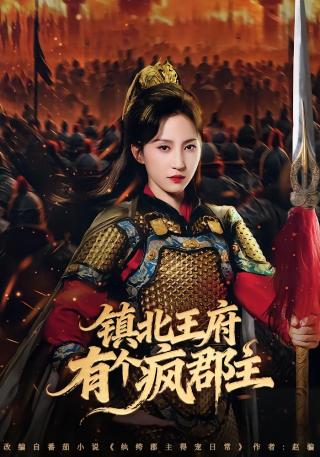 短剧镇北王府有个疯郡主海报