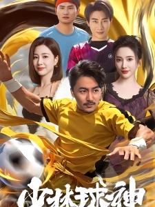 短剧少林球神海报