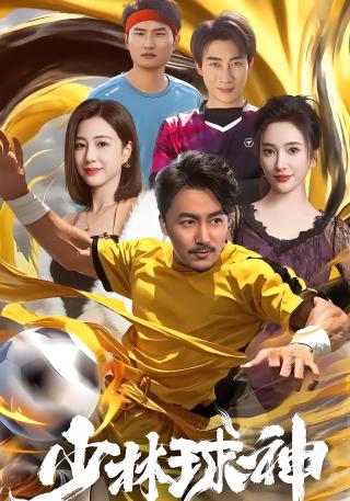 短剧少林球神海报