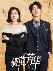 短剧破茧芳华海报