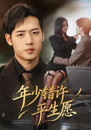 短剧年少错许平生愿海报