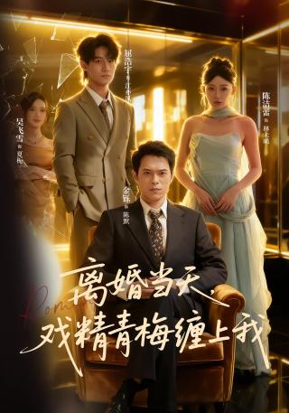 短剧离婚当天，戏精青梅缠上我海报