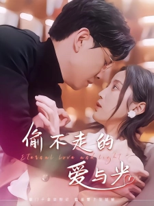 短剧偷不走的爱与光海报