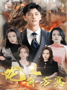 短剧龙王群芳宴海报