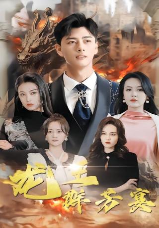 短剧龙王群芳宴海报