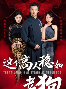 短剧这个高手稳如老狗海报