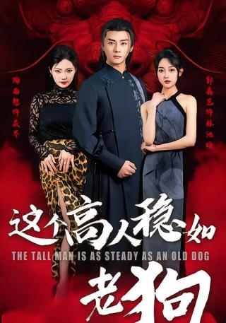 短剧这个高手稳如老狗海报