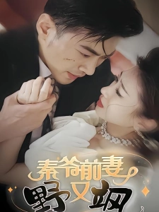 短剧秦爷前妻野又飒海报