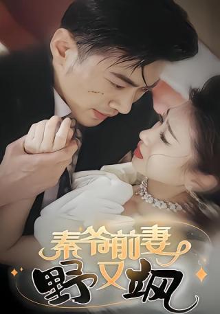 短剧秦爷前妻野又飒海报