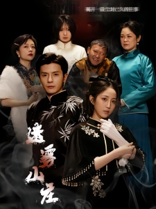 短剧迷雾山庄海报