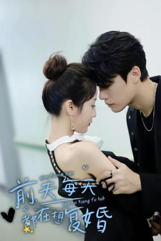 短剧前夫每天都在想复婚海报