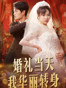 短剧婚礼当天我华丽转身海报