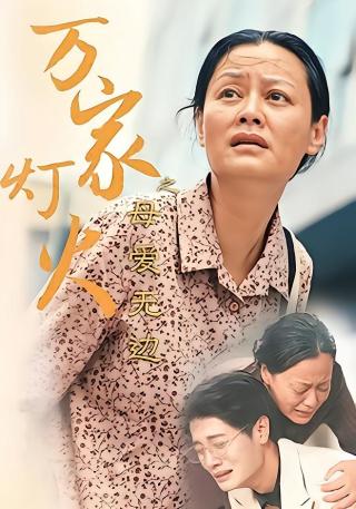 短剧万家灯火之母爱无边海报