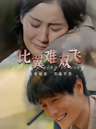 短剧比翼难双飞海报