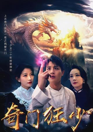 短剧奇门狂少海报