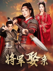 短剧将军娶亲海报