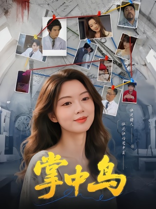 短剧掌中鸟海报