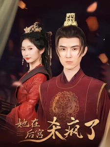 短剧她在后宫杀疯了海报