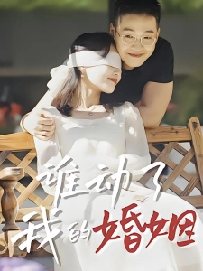 短剧谁动了我的婚姻海报