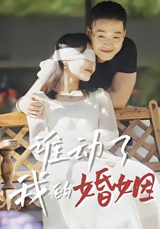 短剧谁动了我的婚姻海报