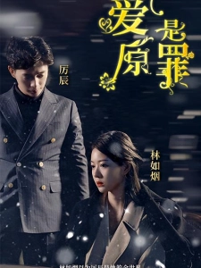 短剧爱是原罪海报